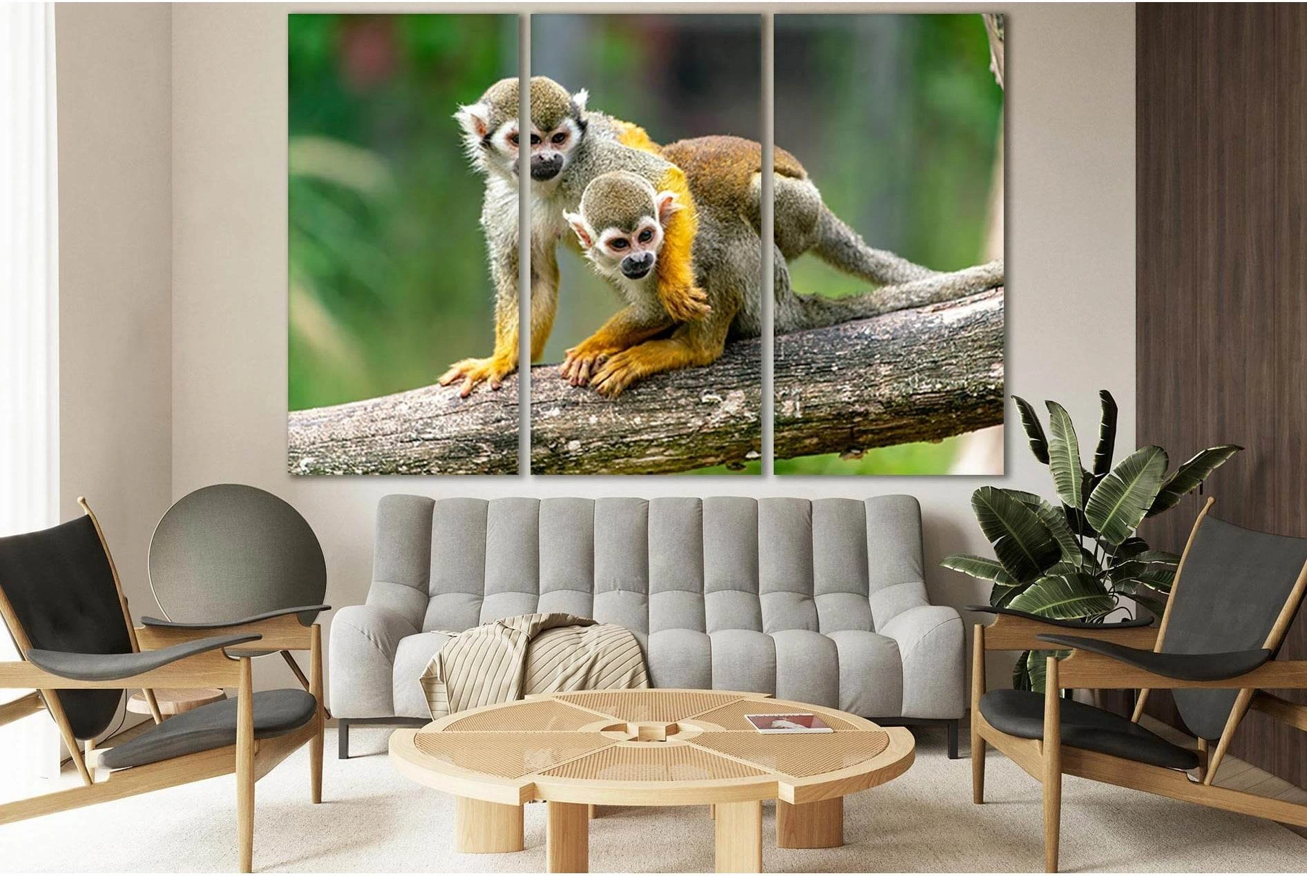Two Monkeys On A Branch №SL1008 Ready to Hang Canvas Print - Zellart Canvas Prints 0new, ALL_Products, Animals & Wildlife
