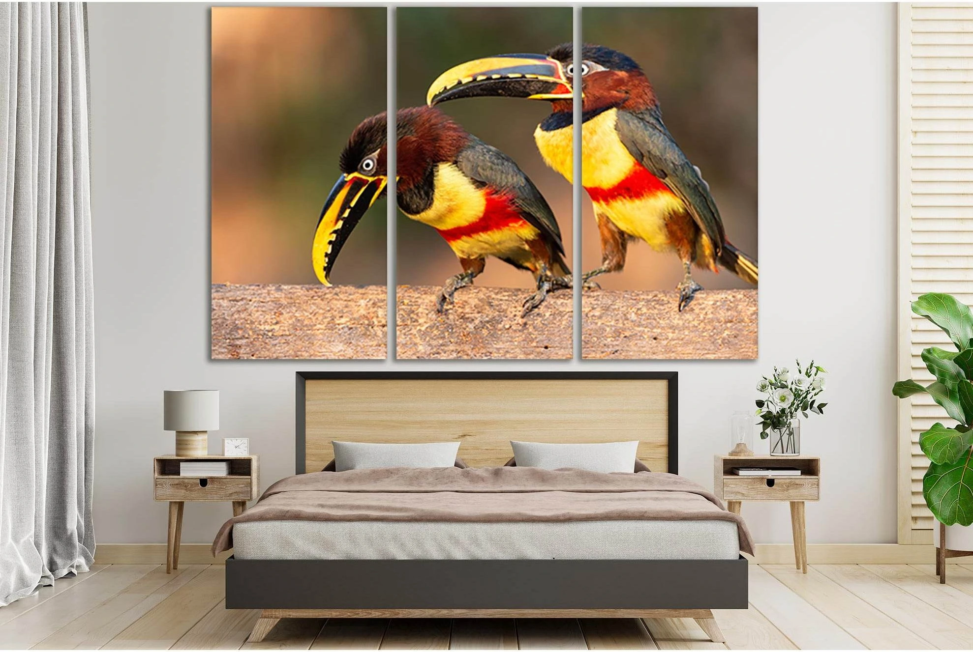 Two Pretty Toucans №SL1044 Ready to Hang Canvas Print - Zellart Canvas Prints 0new, ALL_Products, Animals & Wildlife