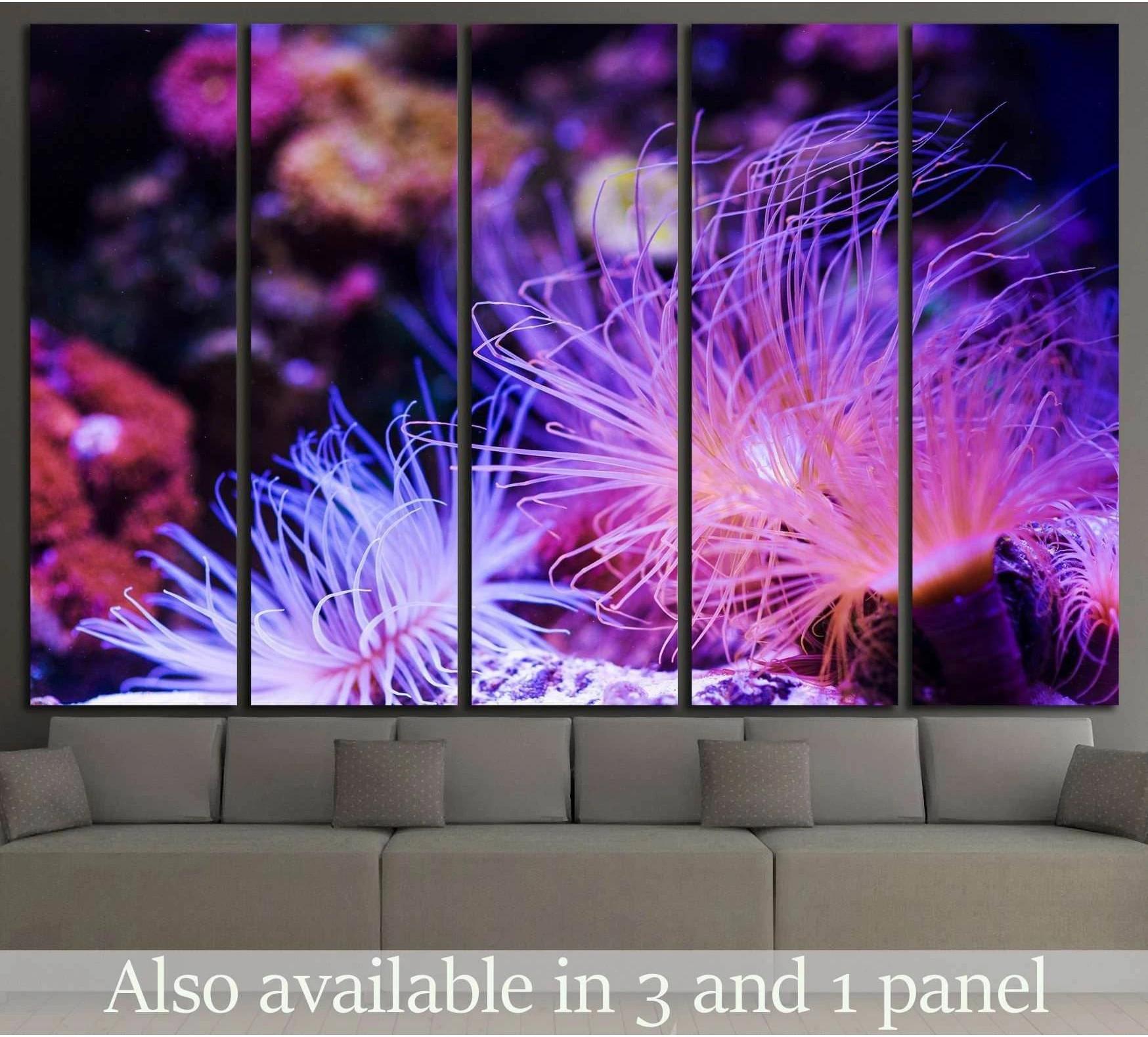 Pink and purple sea anemone coral reef canvas print displayed above a sofa in a modern living room
