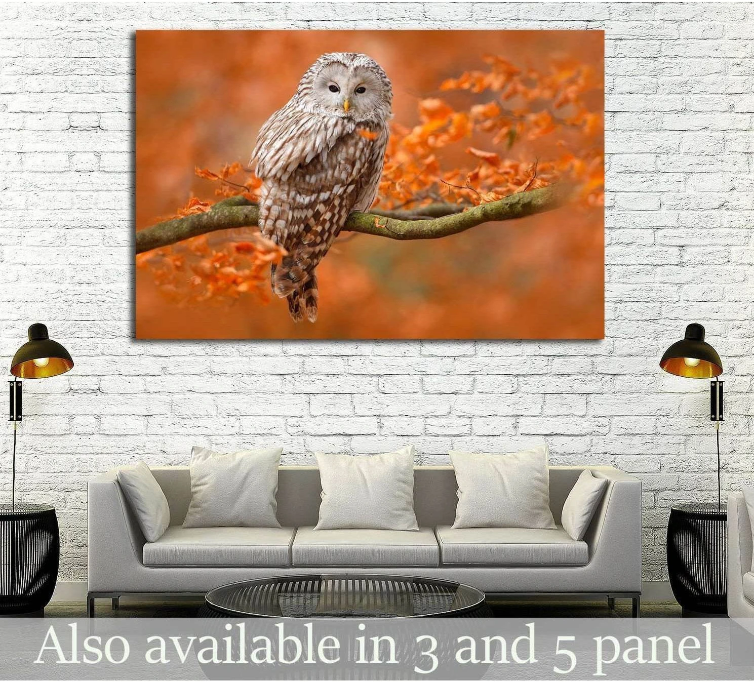Ural owl canvas print perched on a branch with orange autumn leaves above a sofa in a living room