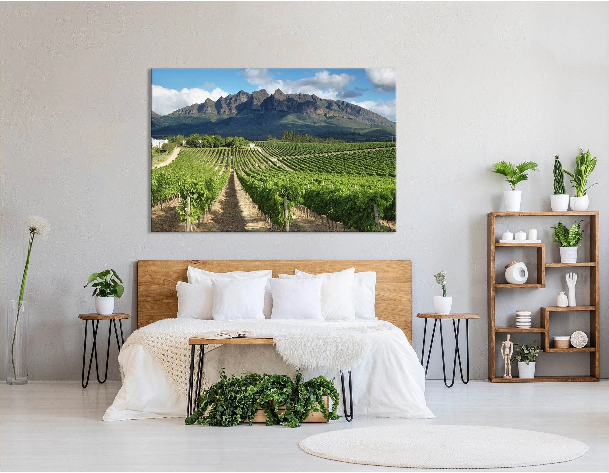 Vineyards Landscape Near Wellington, South Africa №04212 Ready to Hang Canvas Print - Zellart Canvas Prints ALL_Products