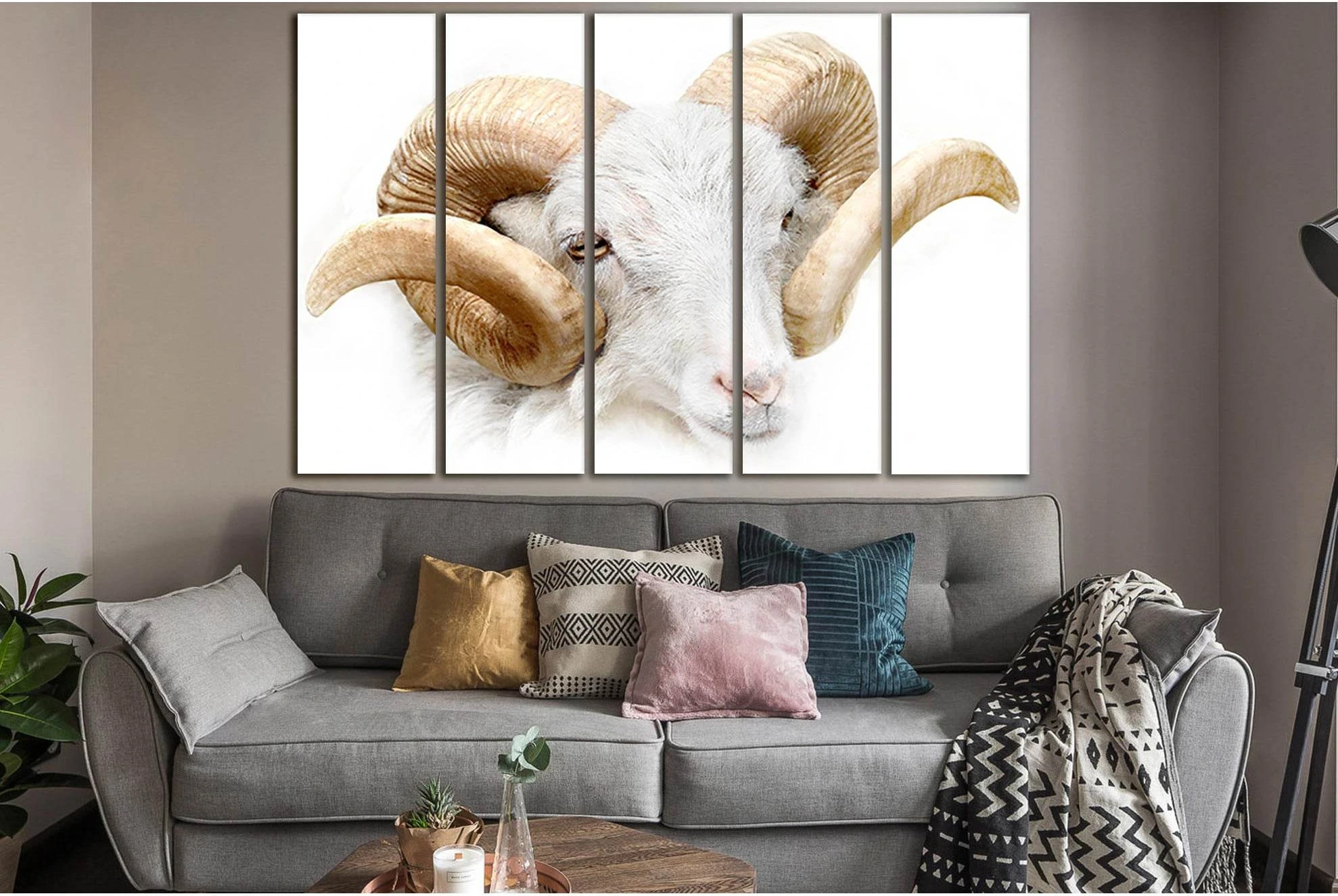 White Ram Close Up №SL997 Ready to Hang Canvas Print - Zellart Canvas Prints 0new, ALL_Products, Animals & Wildlife