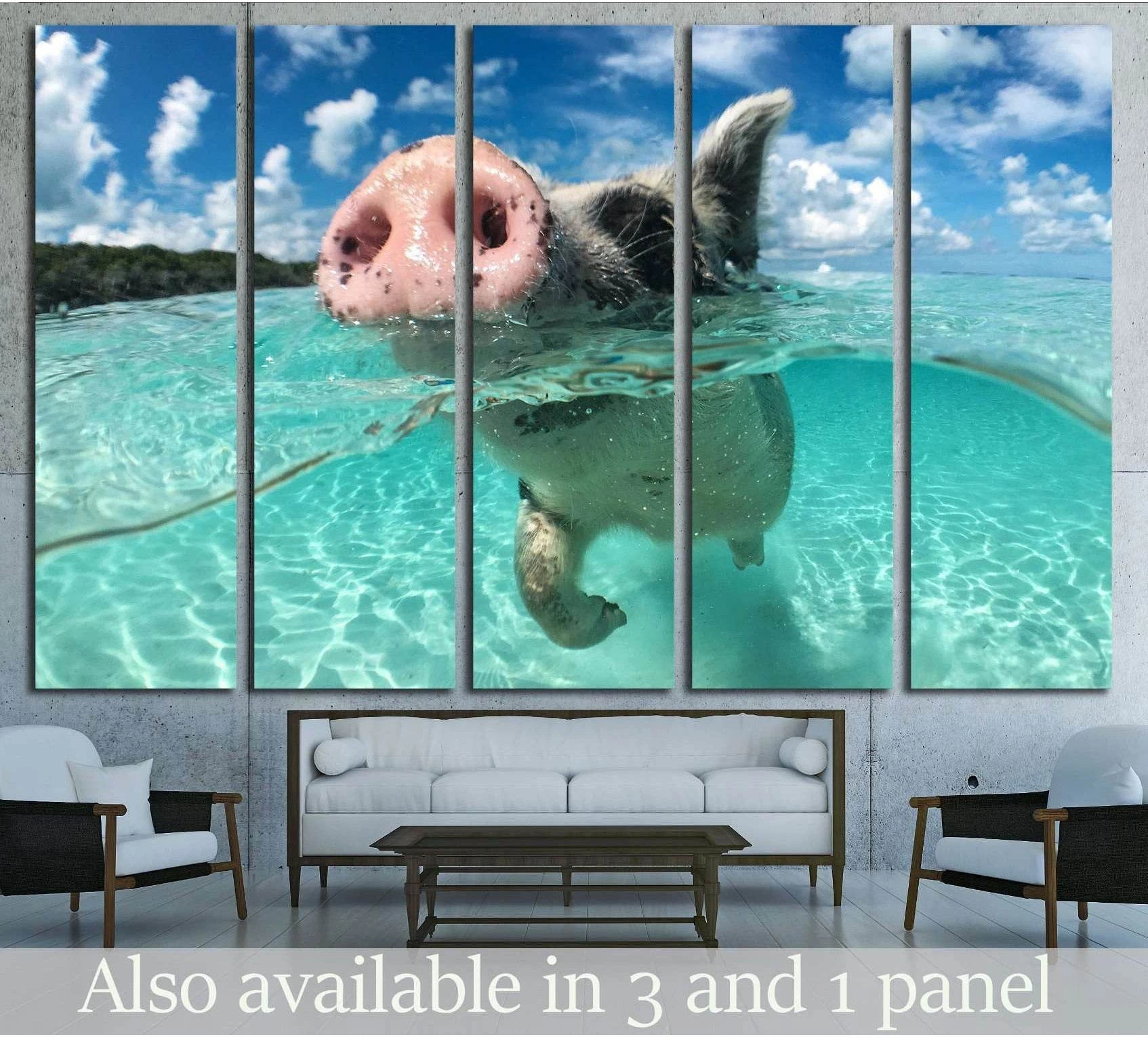 Wild, swimming pig on Big Majors Cay in The Bahamas showing blue ocean wall art with water and coastal depth.