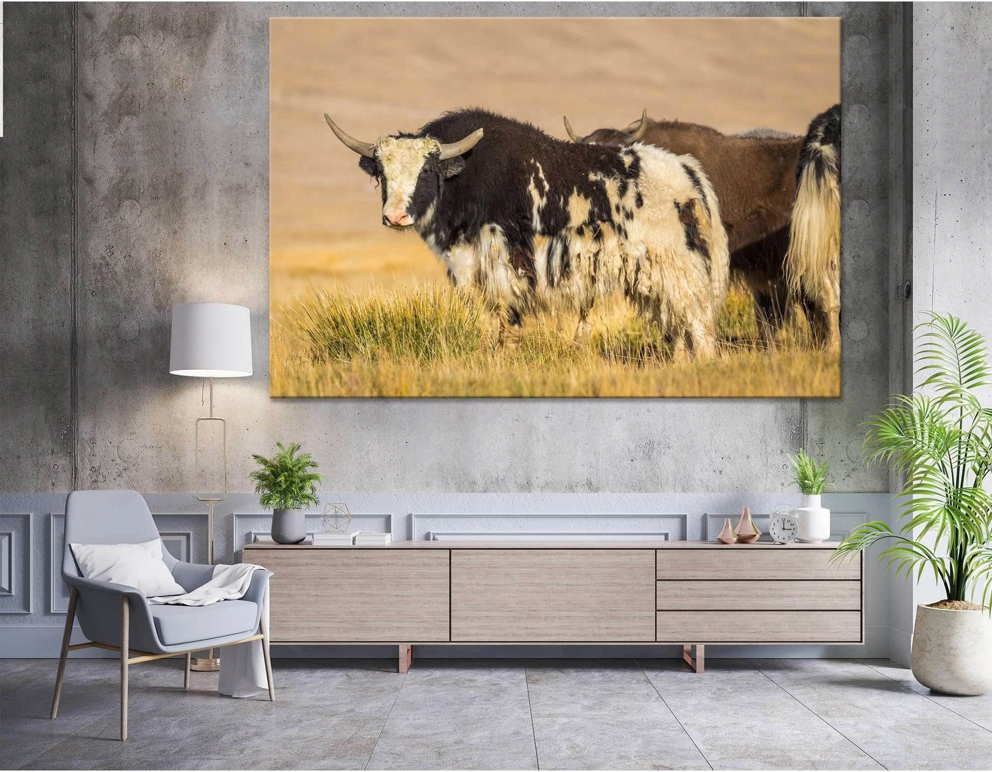 Wild Yak on pasture in the Pamir Mountains №04137 Ready to Hang Canvas Print - Zellart Canvas Prints ALL_Products