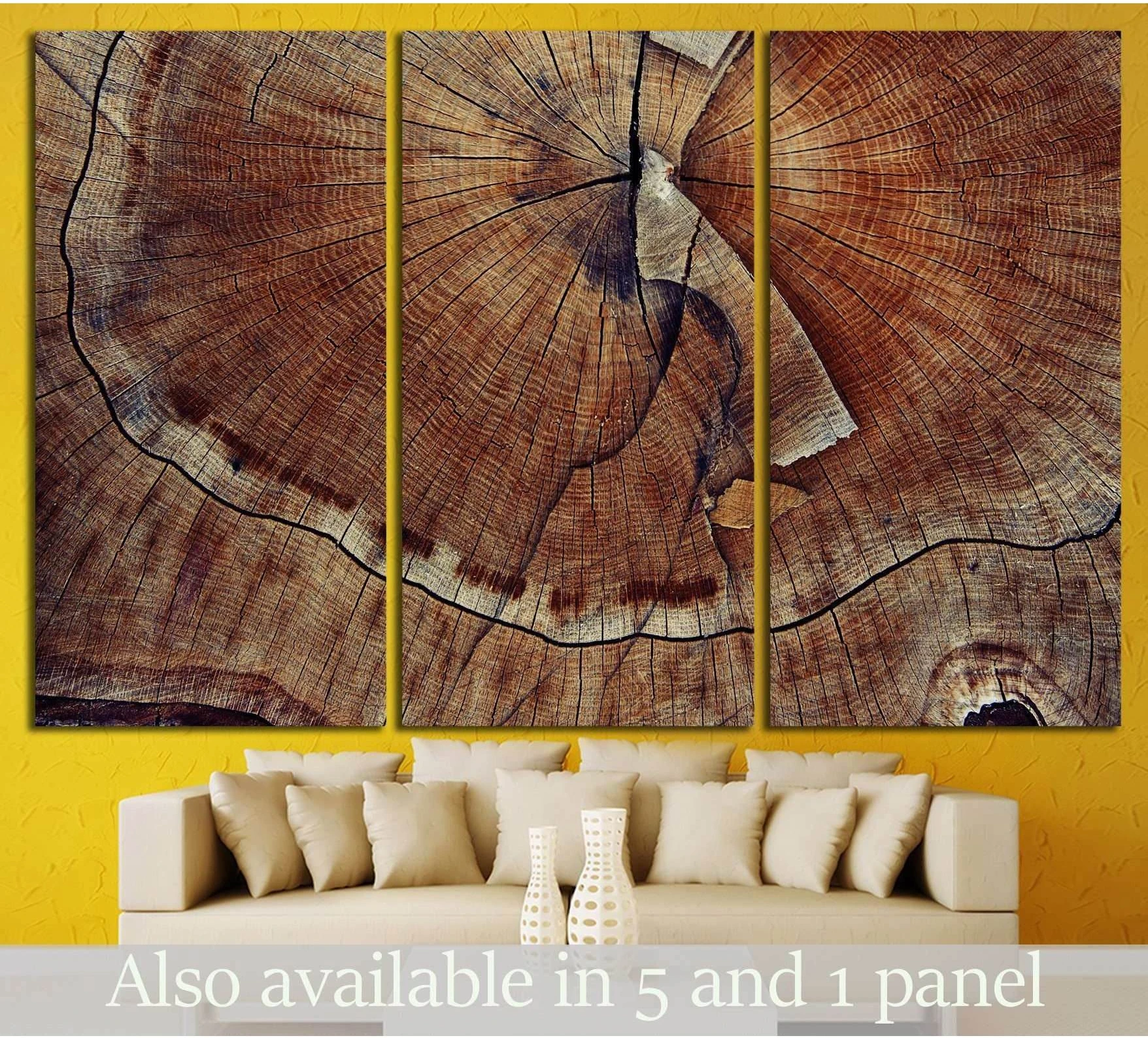 Close-up wood slice canvas print with brown tree rings, split grain, and rustic triptych layout